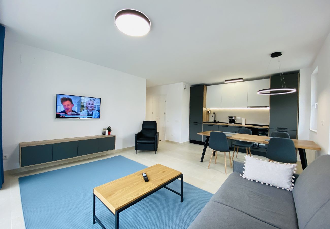 Apartment in Brasov - One Bedroom Apartment in Urban Plaza