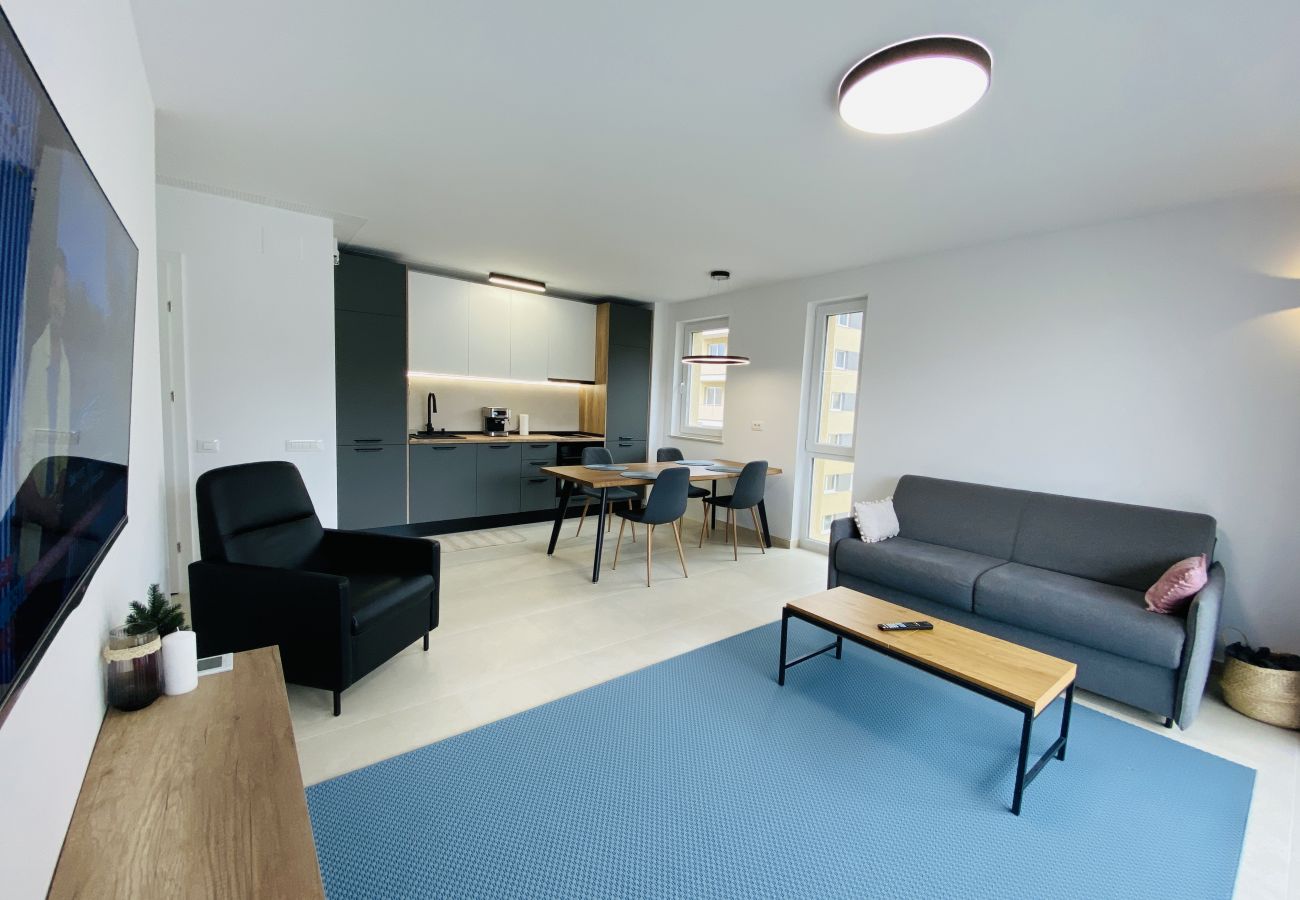 Apartment in Brasov - One Bedroom Apartment in Urban Plaza