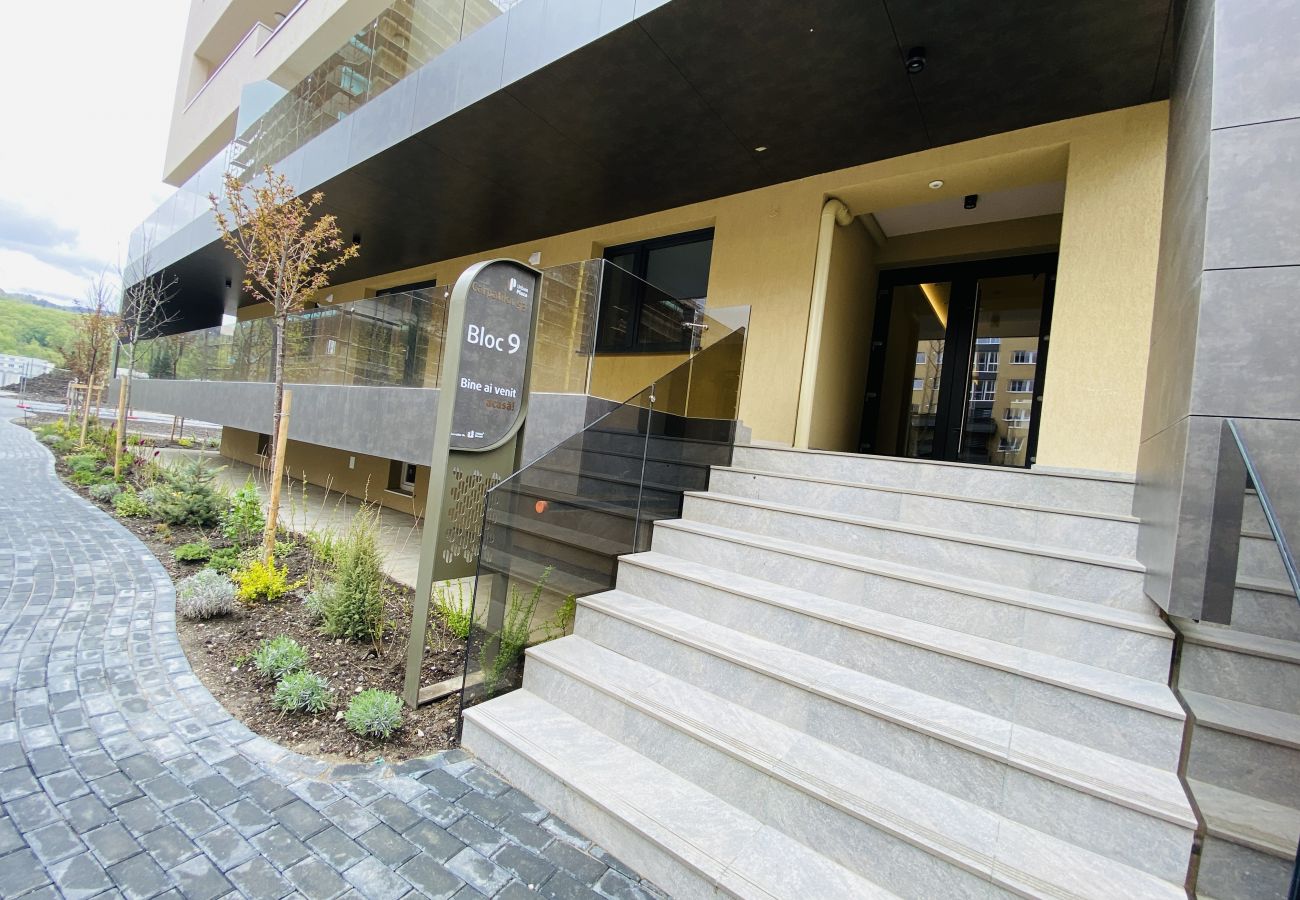 Apartment in Brasov - One Bedroom Apartment in Urban Plaza