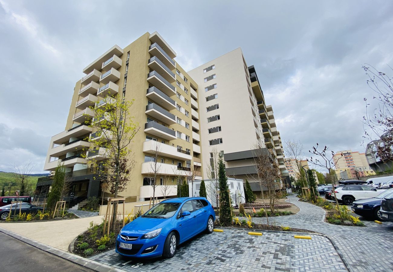 Apartment in Brasov - One Bedroom Apartment in Urban Plaza