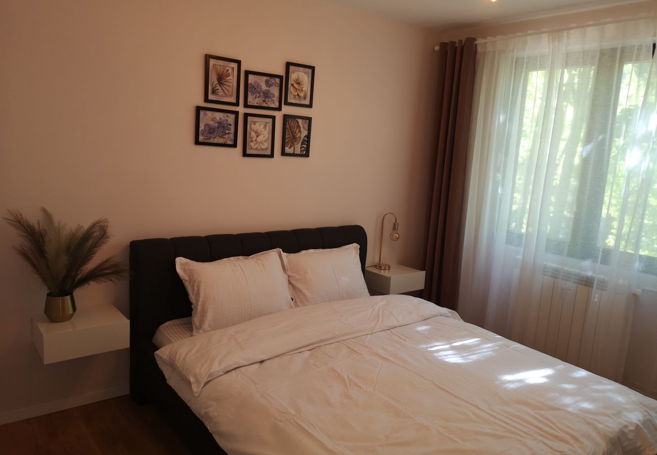 Apartment in Timisoara -  Cosy Flat in the Heart of Timisoara