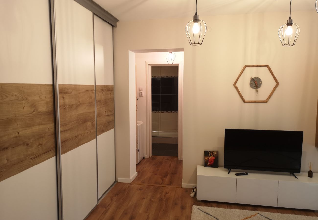 Apartment in Timisoara -  Cosy Flat in the Heart of Timisoara