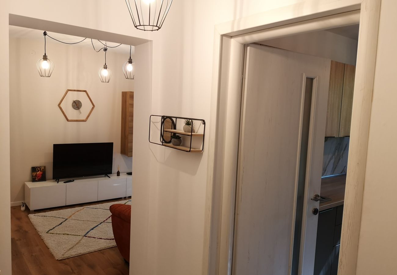 Apartment in Timisoara -  Cosy Flat in the Heart of Timisoara