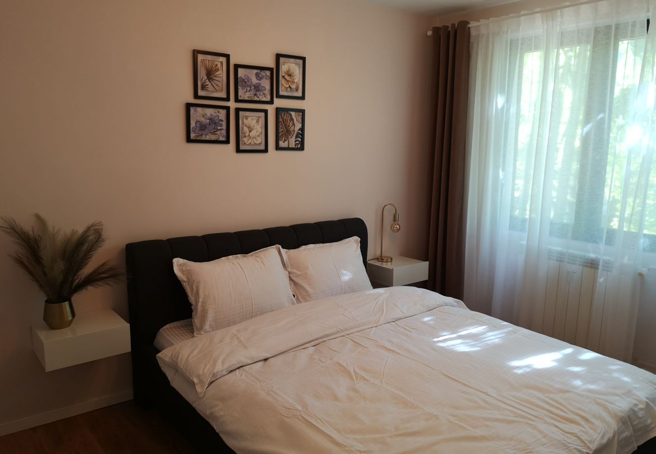 Apartment in Timisoara -  Cosy Flat in the Heart of Timisoara