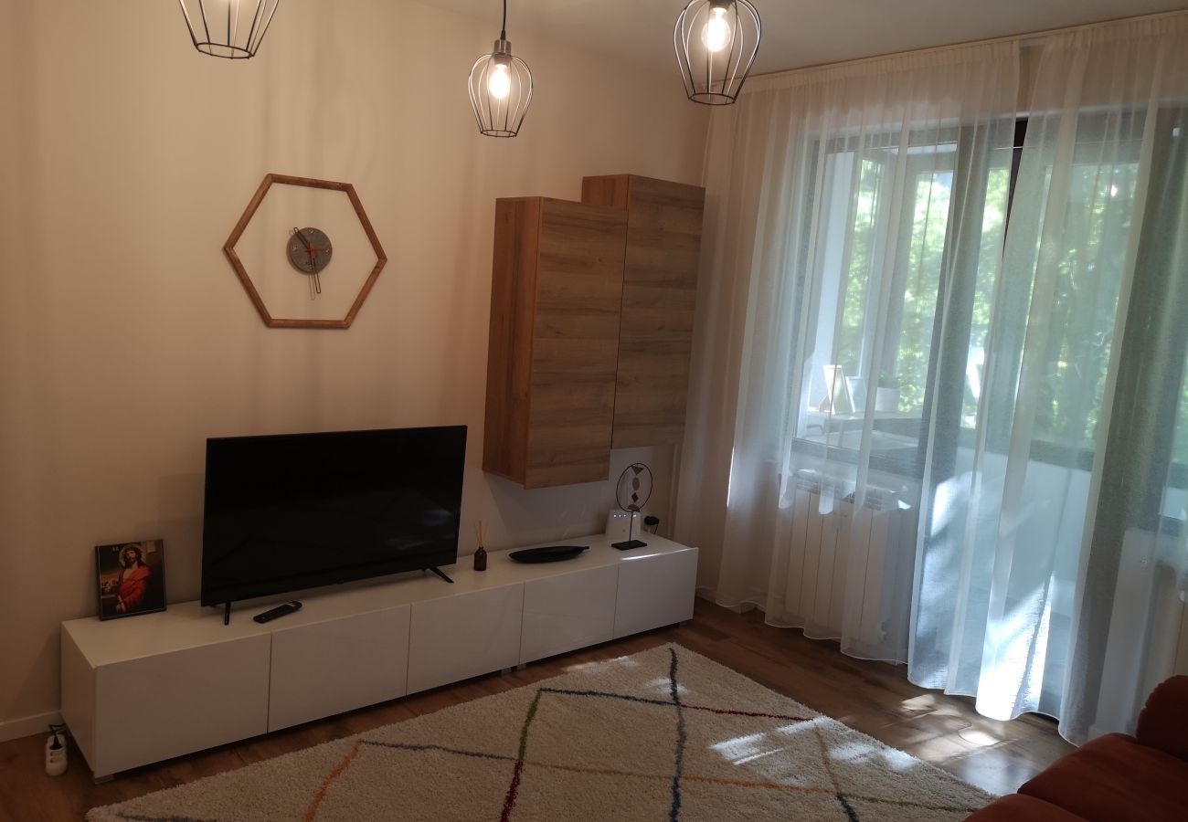 Apartment in Timisoara -  Cosy Flat in the Heart of Timisoara