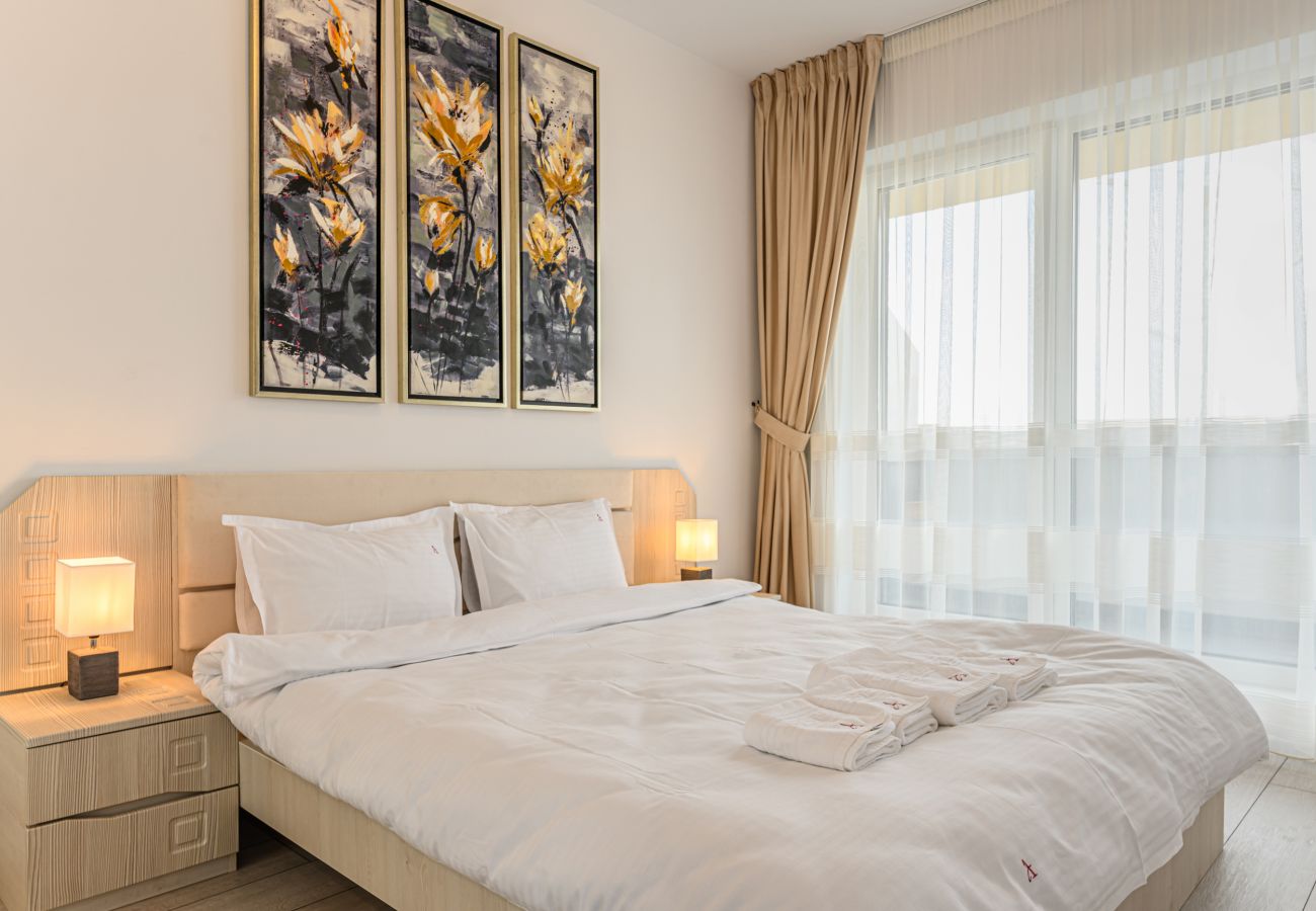 Apartment in Brasov - Dynamic One Bedroom Apartment 