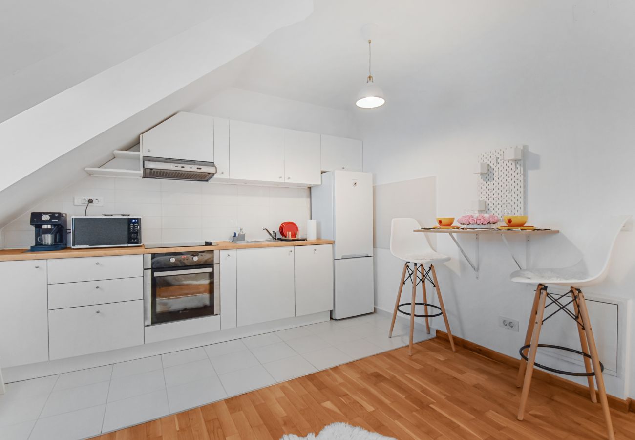 Studio in Bucharest - Attic Studio near Carol Park