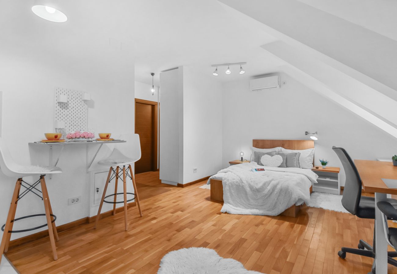 Studio in Bucharest - Attic Studio near Carol Park