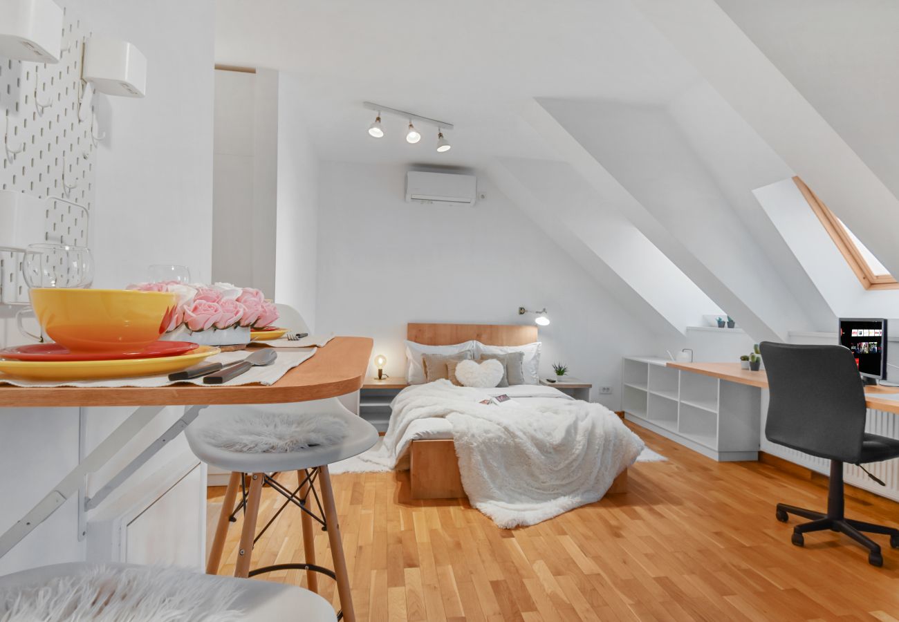 Studio in Bucharest - Attic Studio near Carol Park