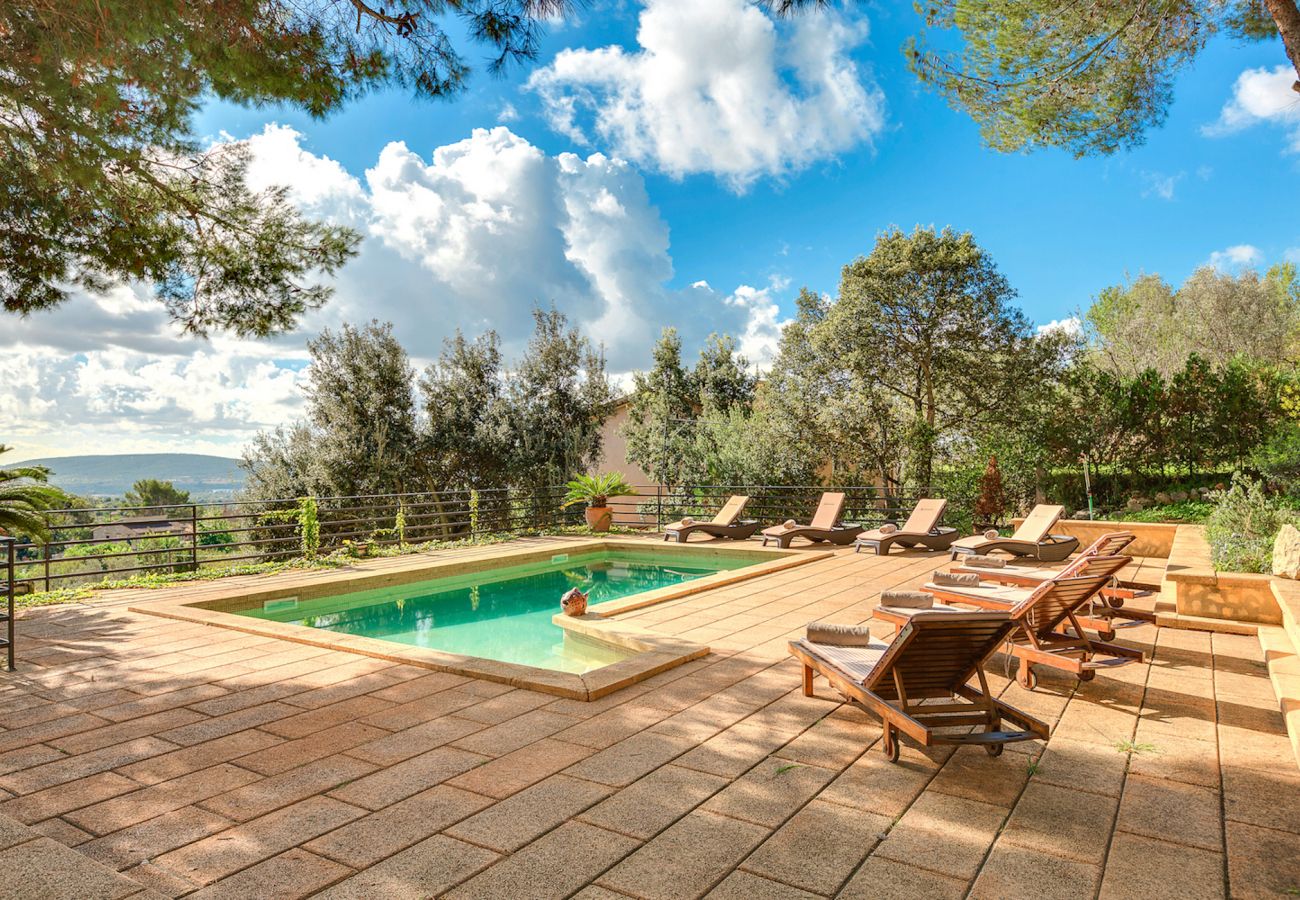 Swimming pool loungers relax Alaró Mallorca