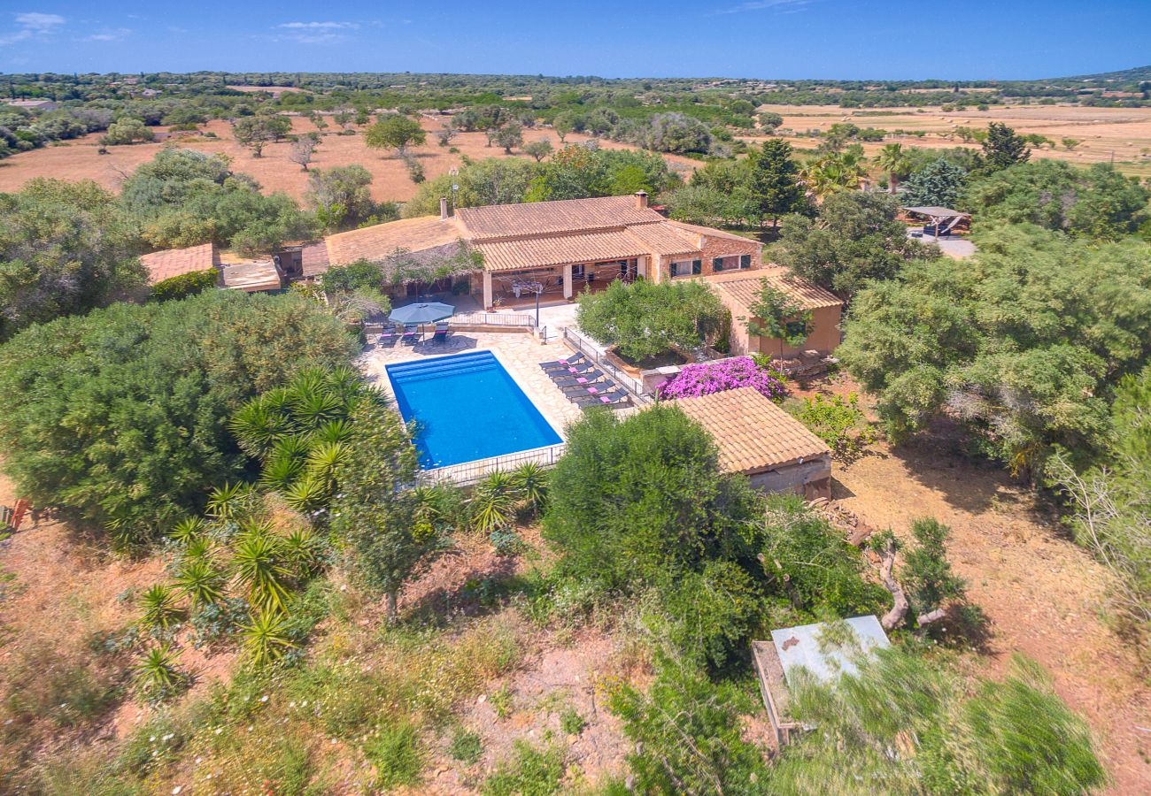 Villa in Manacor - Villa Manacor 
