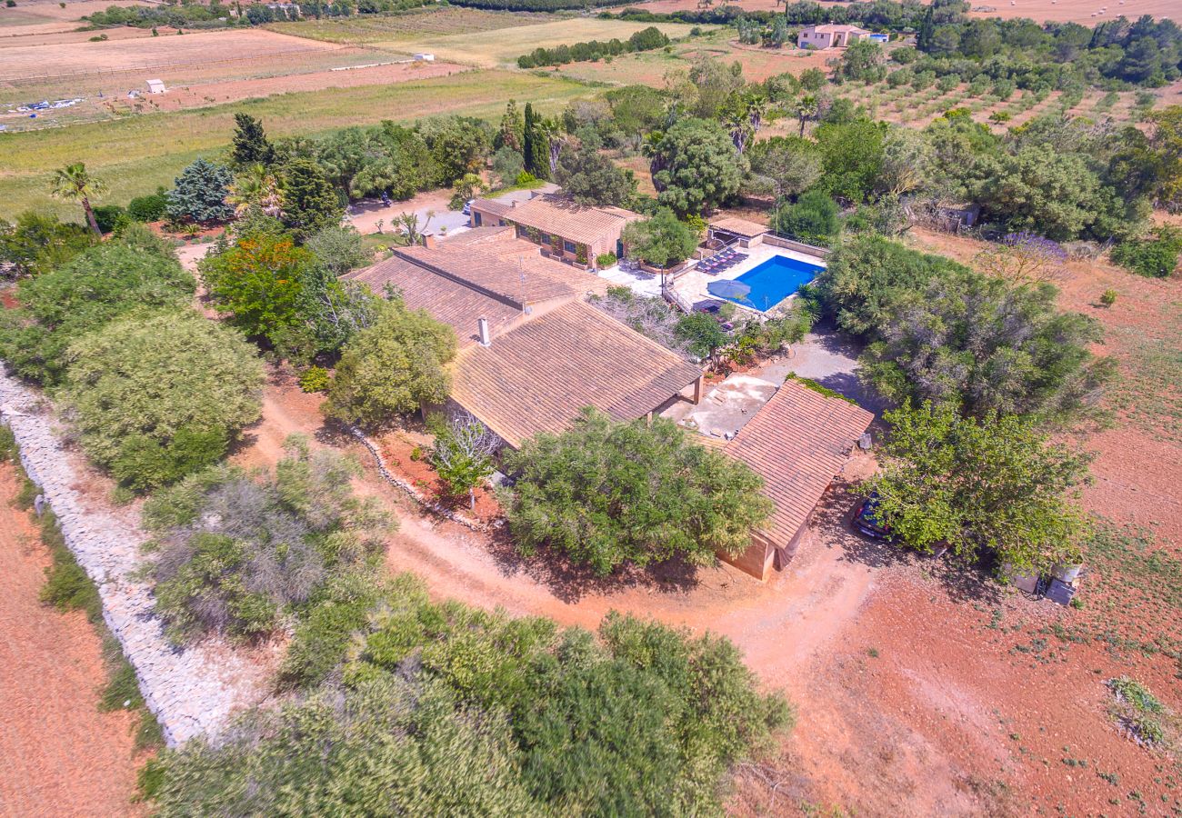 Villa in Manacor - Villa Manacor 