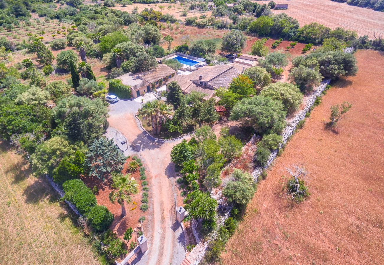Villa in Manacor - Villa Manacor 