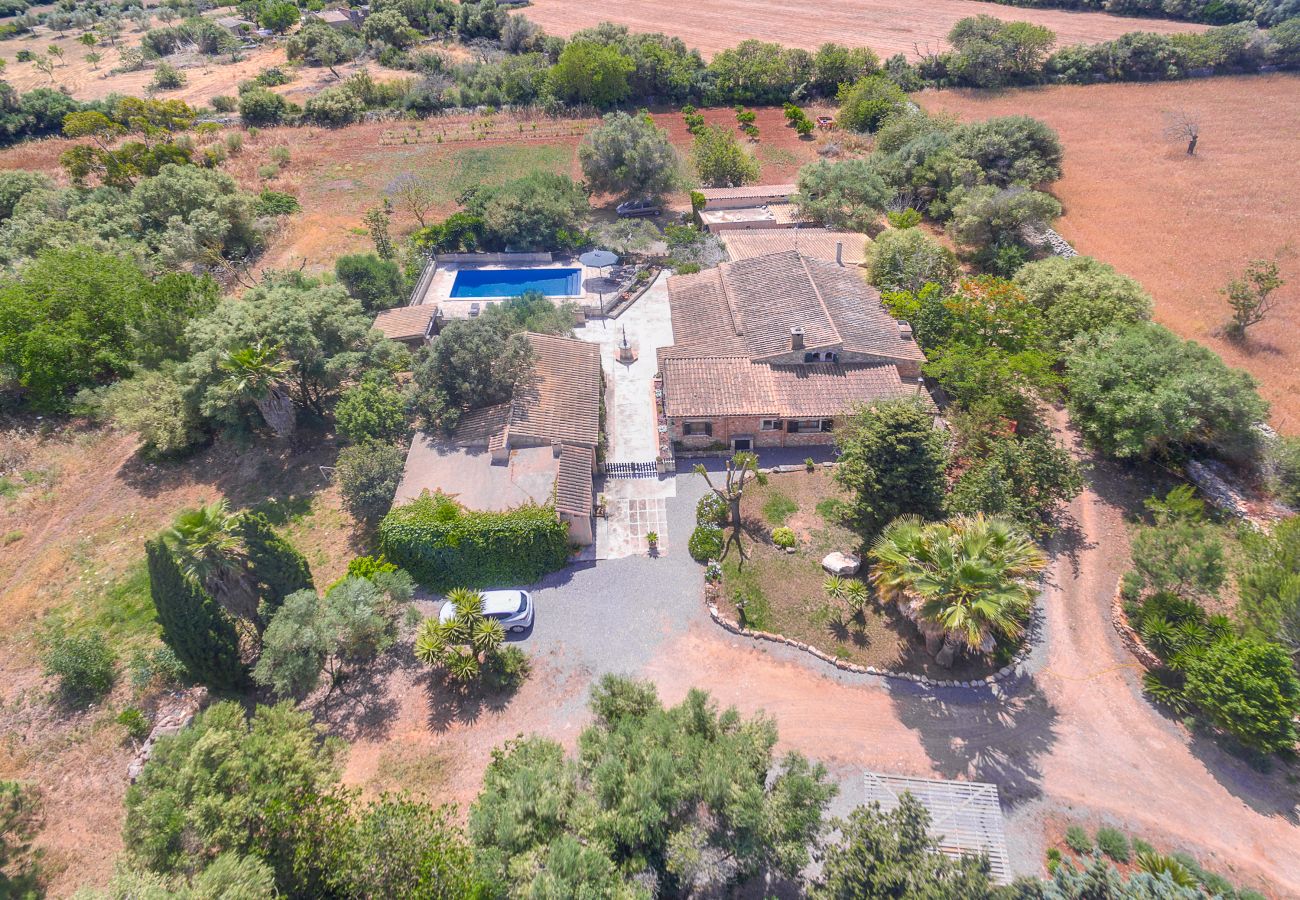 Villa in Manacor - Villa Manacor 