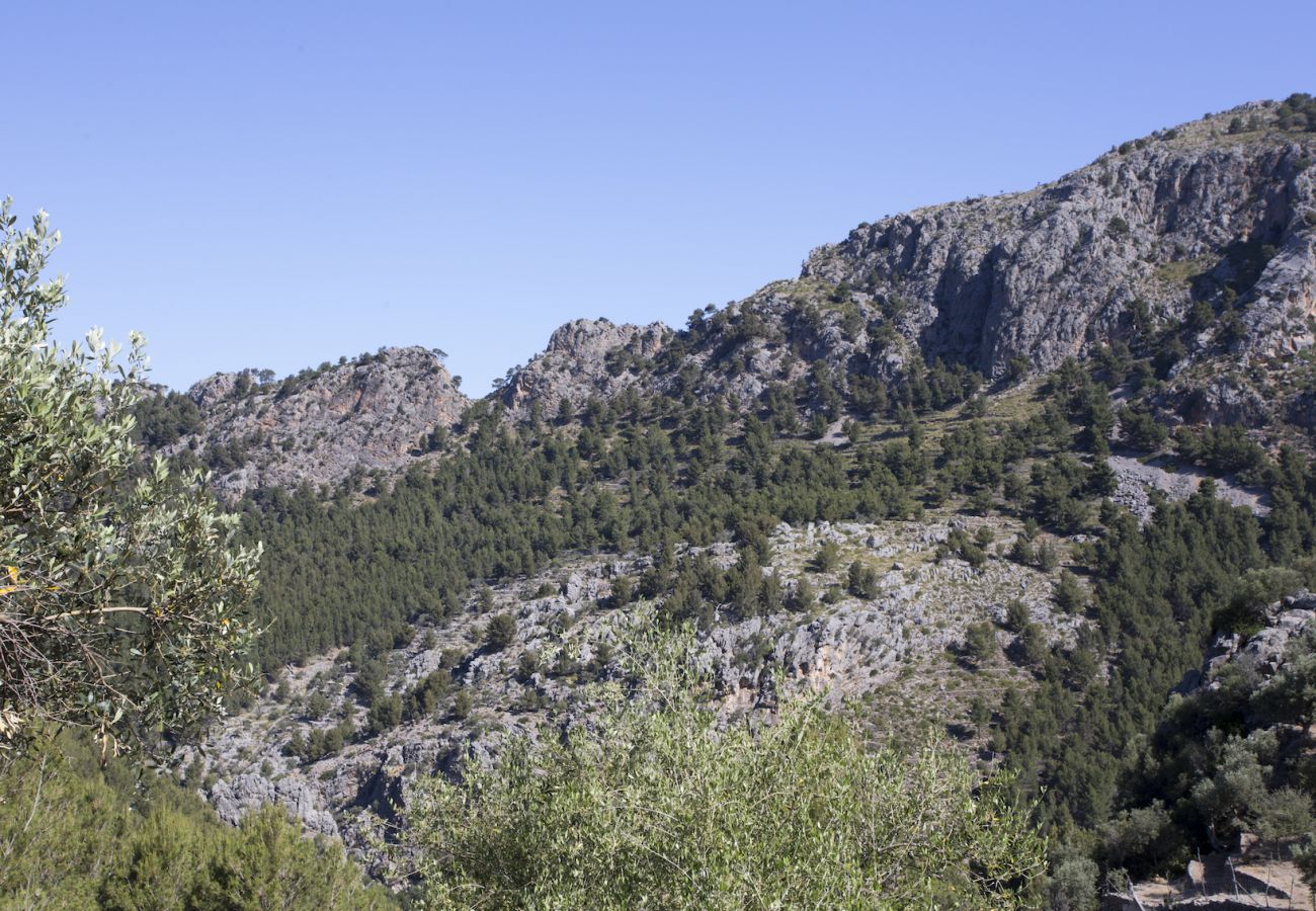 Villa in Sóller - Villa Es Cocó Sóller 