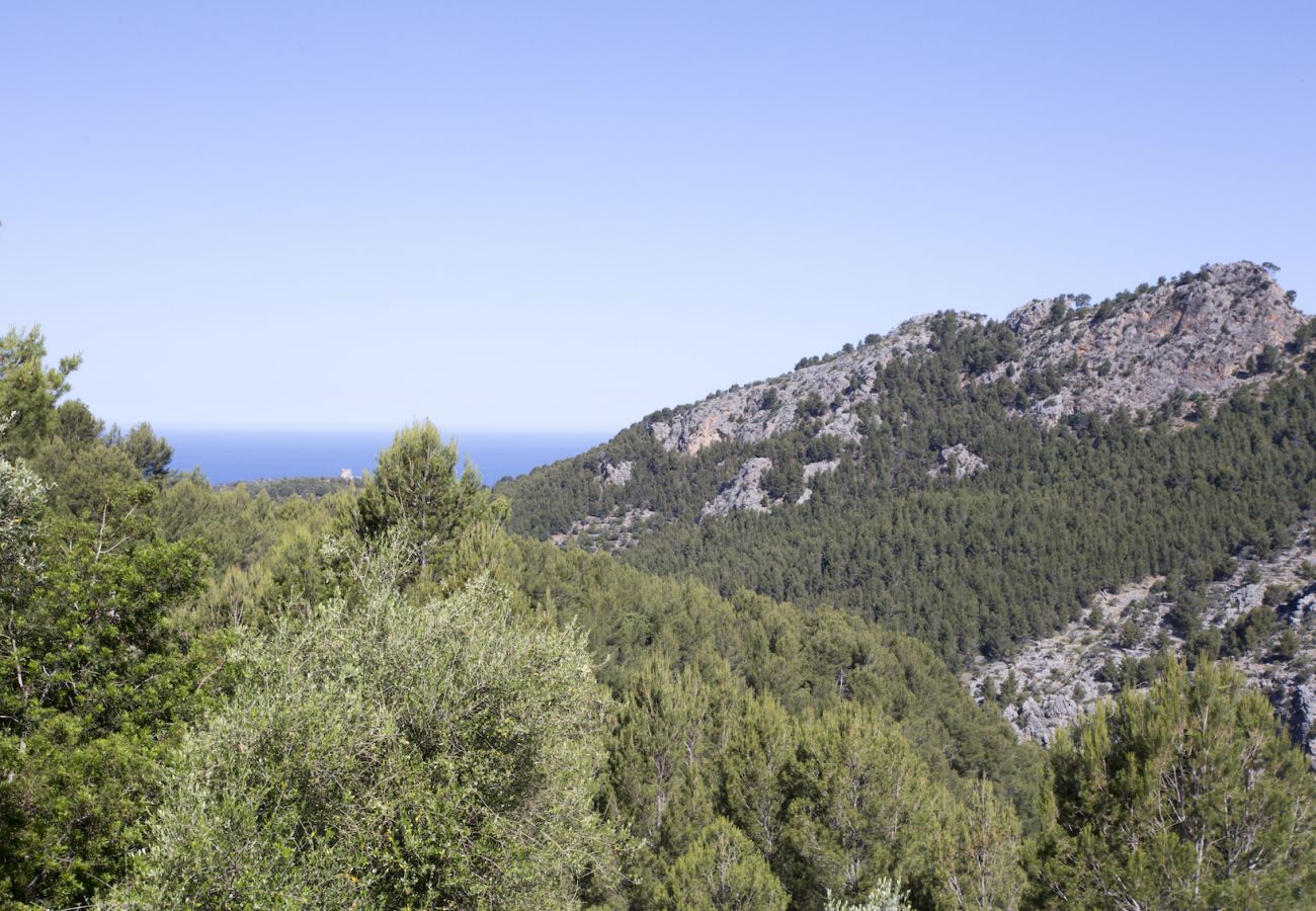 Villa in Sóller - Villa Es Cocó Sóller 