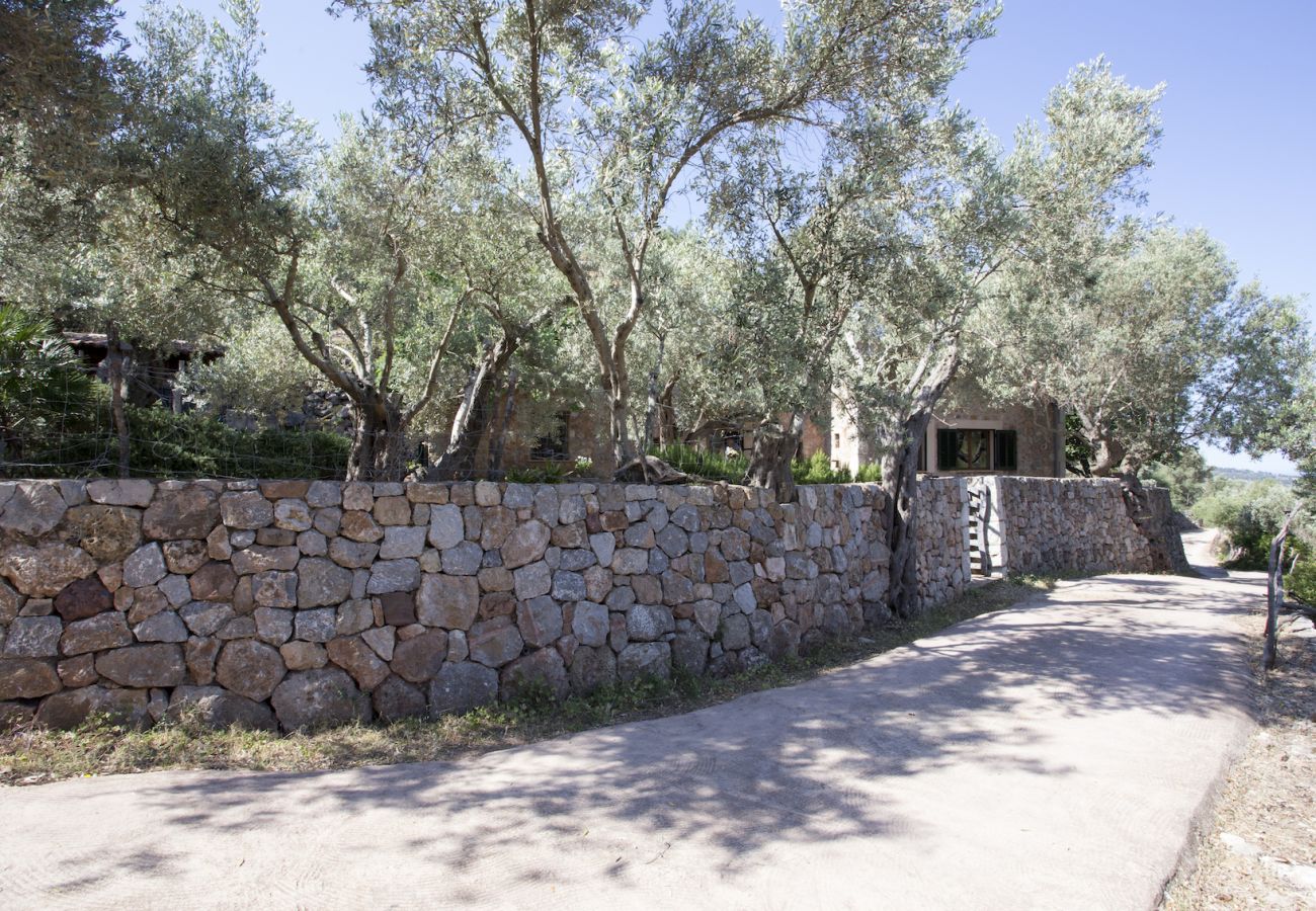 Villa in Sóller - Villa Es Cocó Sóller 
