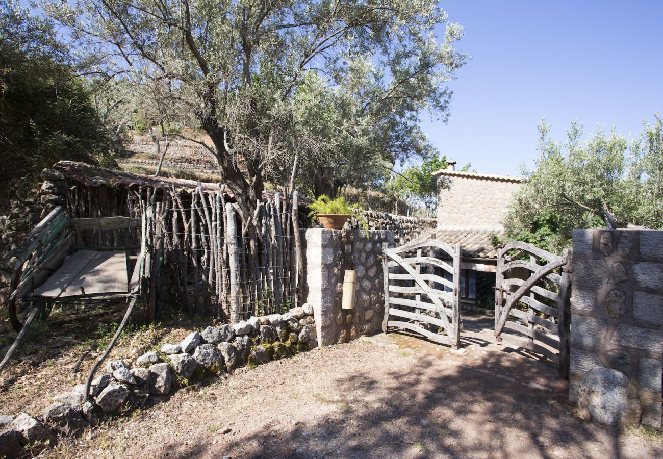 Villa in Sóller - Villa Es Cocó Sóller 