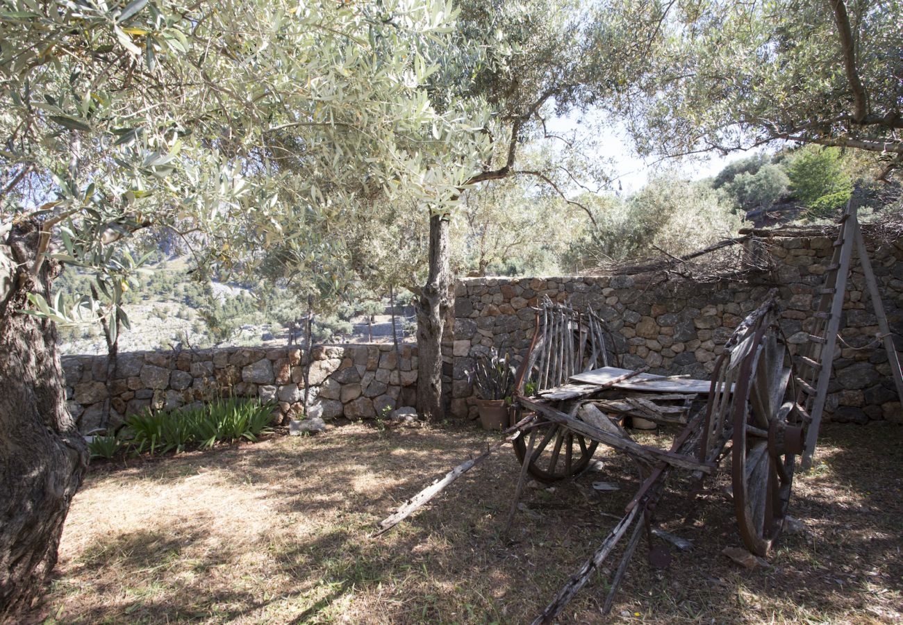 Villa in Sóller - Villa Es Cocó Sóller 