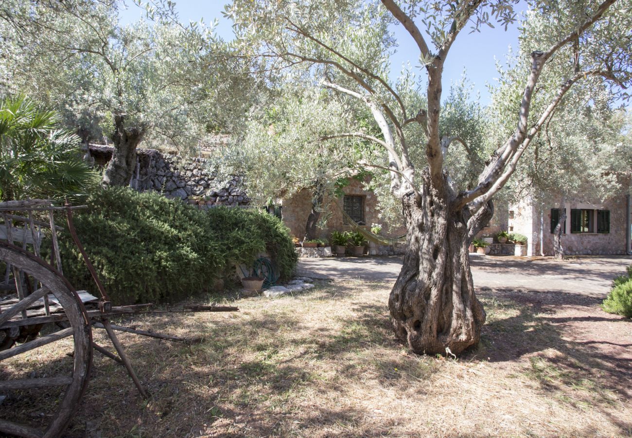 Villa in Sóller - Villa Es Cocó Sóller 