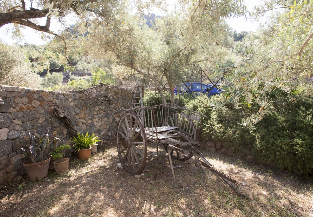 Villa in Sóller - Villa Es Cocó Sóller 