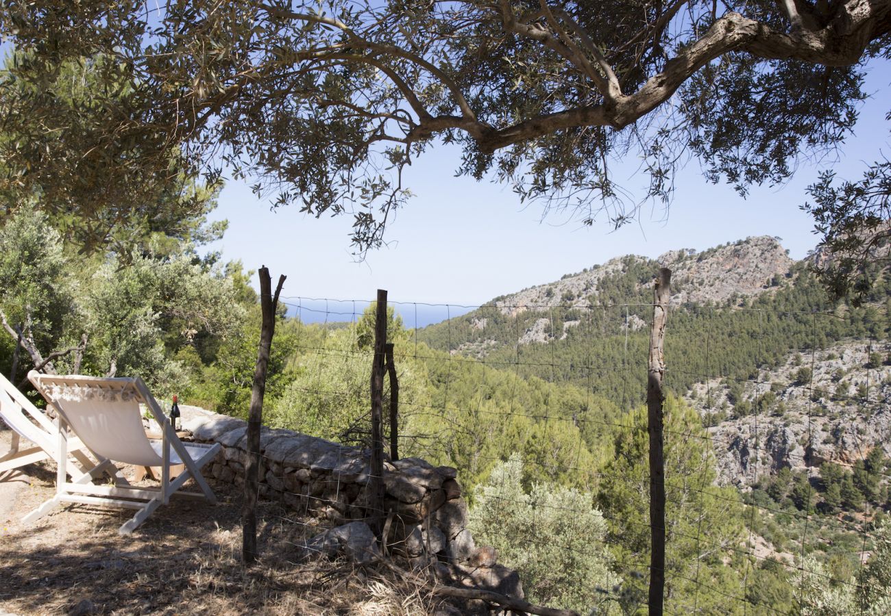 Villa in Sóller - Villa Es Cocó Sóller 