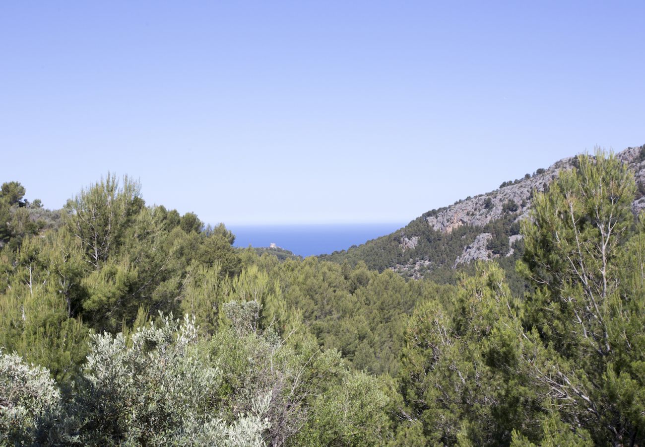 Villa in Sóller - Villa Es Cocó Sóller 