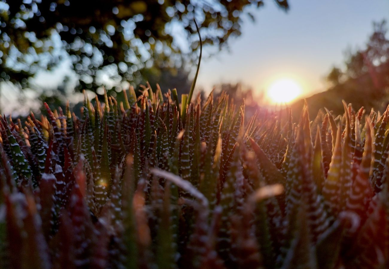 Villa in Sóller - Villa Es Cocó Sóller by Priority Villas