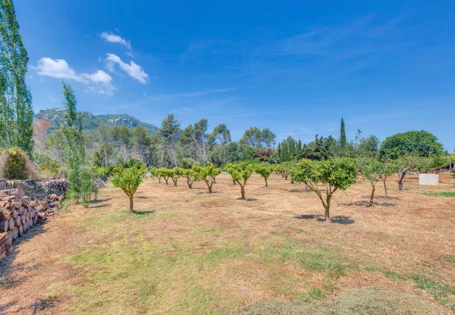 Villa in Esporlas - VILLA CAN SION Villa in Esporlas - VILLA CAN SION