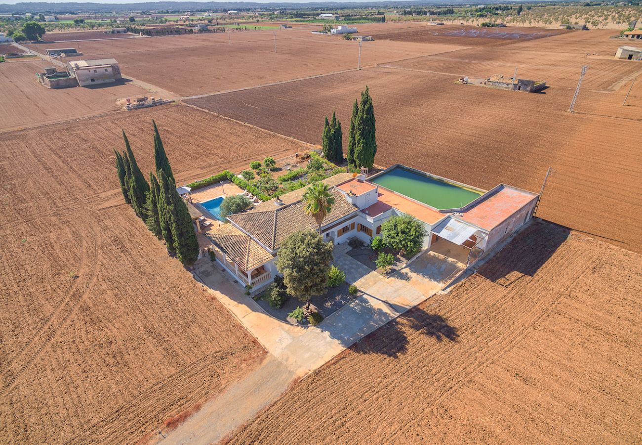 Villa in Sa Pobla - VILLA SILENCI