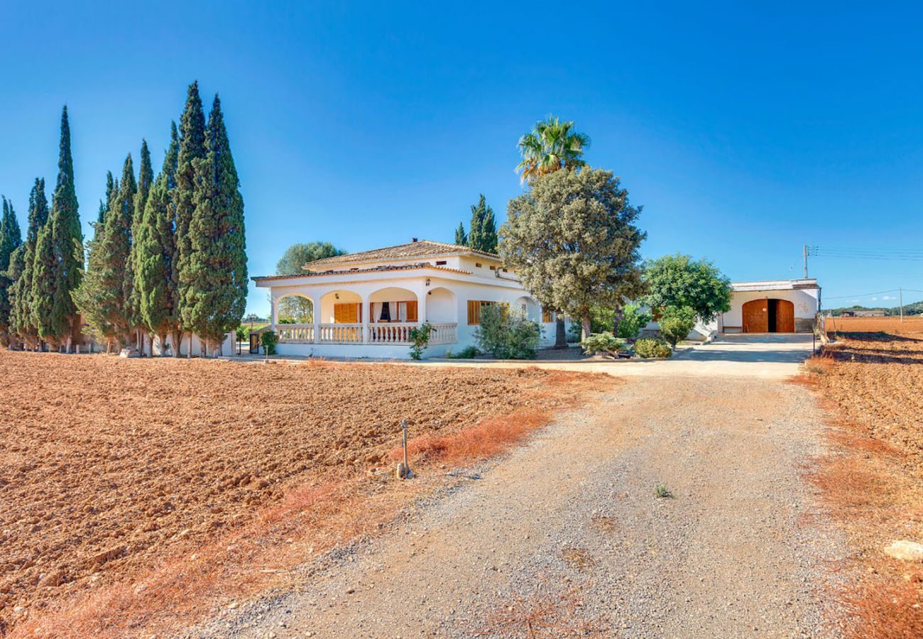 Villa in Sa Pobla - VILLA SILENCI