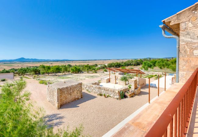 Villa in Vilafranca de Bonany - Villa Vilafranca Villa in Vilafranca de Bonany - Villa Vilafranca