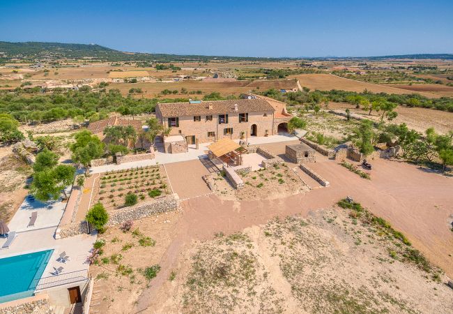 Villa in Vilafranca de Bonany - Villa Vilafranca Villa in Vilafranca de Bonany - Villa Vilafranca