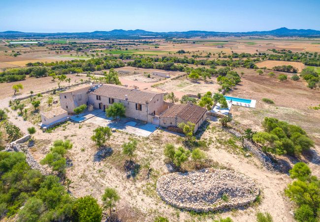 Villa/Dettached house in Vilafranca de Bonany - Villa Vilafranca