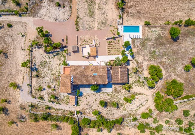 Villa in Vilafranca de Bonany - Villa Vilafranca Villa in Vilafranca de Bonany - Villa Vilafranca