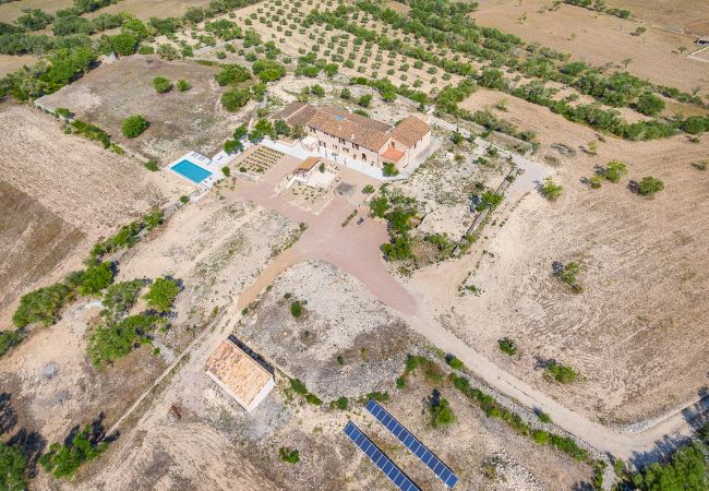 Villa in Vilafranca de Bonany - Villa Vilafranca Villa in Vilafranca de Bonany - Villa Vilafranca