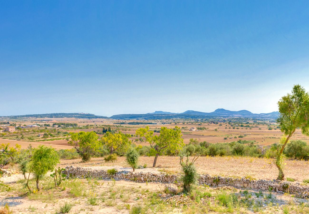 Villa in Vilafranca de Bonany - Villa Vilafranca