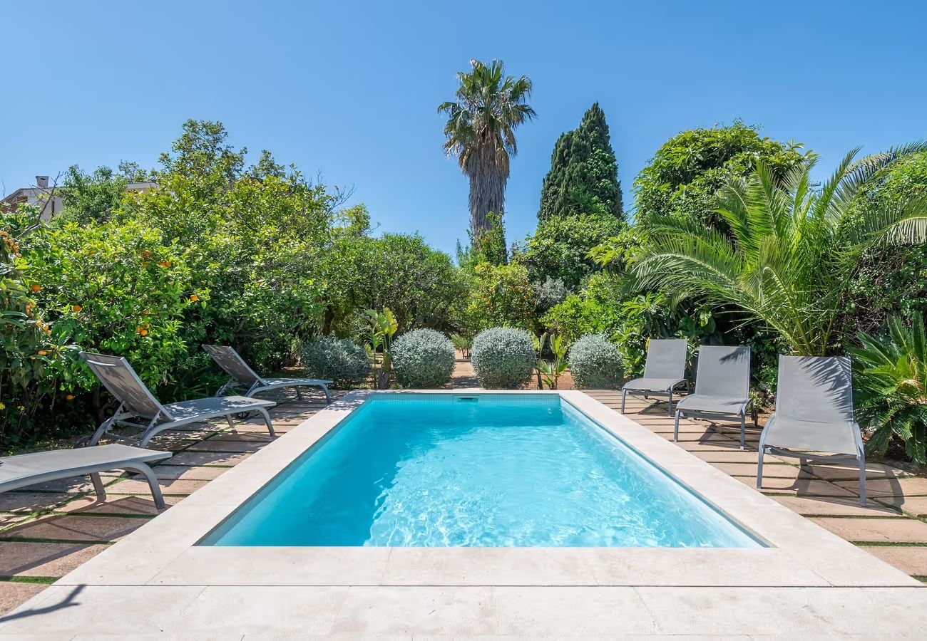 Villa in Palma de Mallorca - Villa Establiments by Priority villas