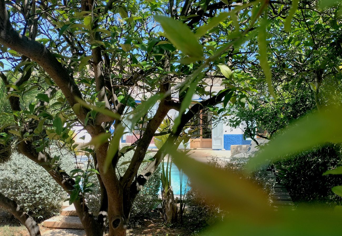 Villa in Palma de Mallorca - Villa Establiments by Priority villas