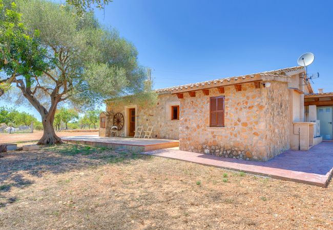 Villa in Calvià - Villa Calvià countryside Villa in Calvià - Villa Calvià countryside