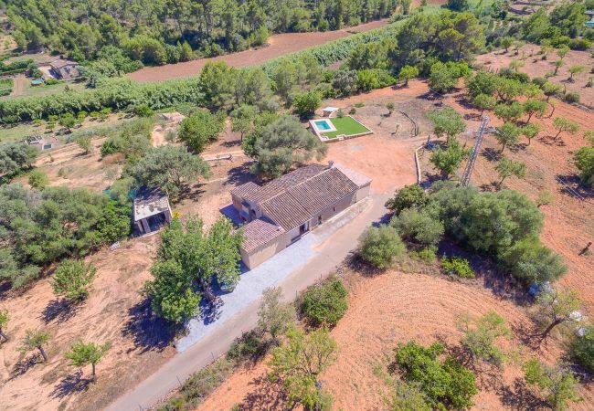 Villa in Calvià - Villa Calvià countryside Villa in Calvià - Villa Calvià countryside