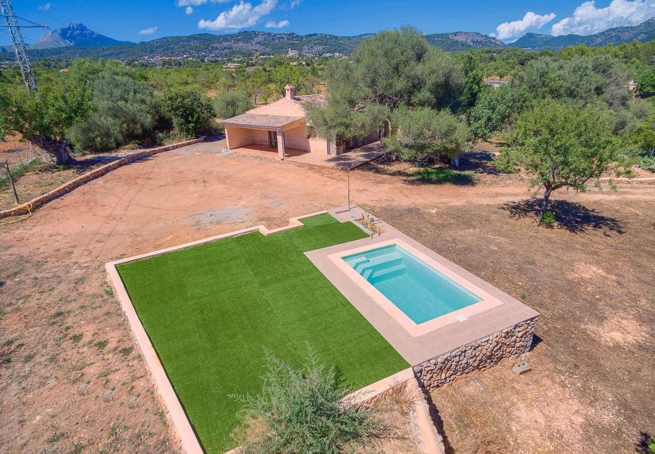 Villa in Calvià - Villa Calvià countryside