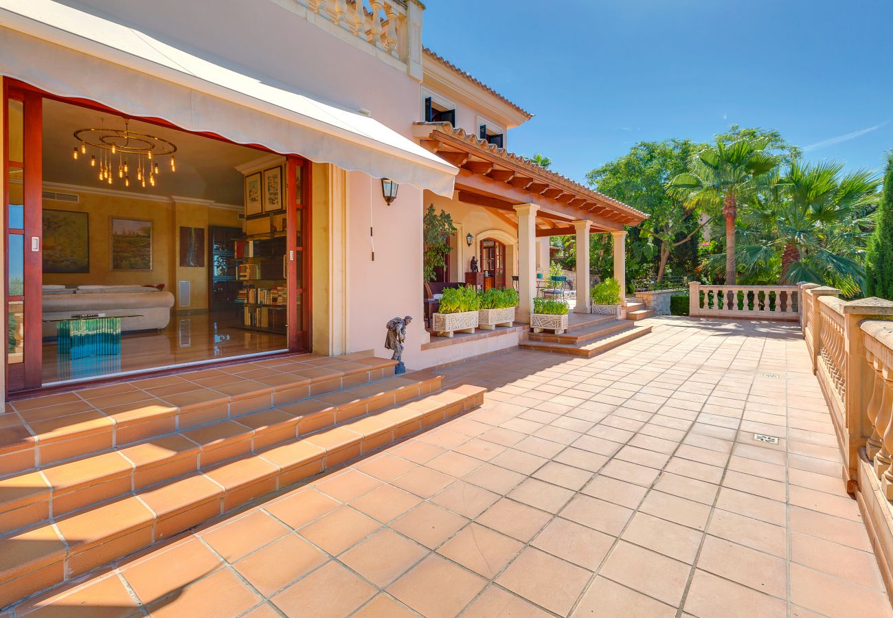 Terrace and balcony with views of the island.