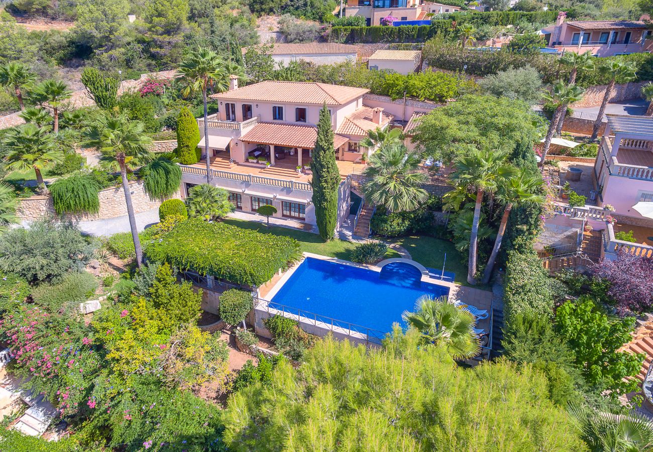 Green garden with flowers and pool