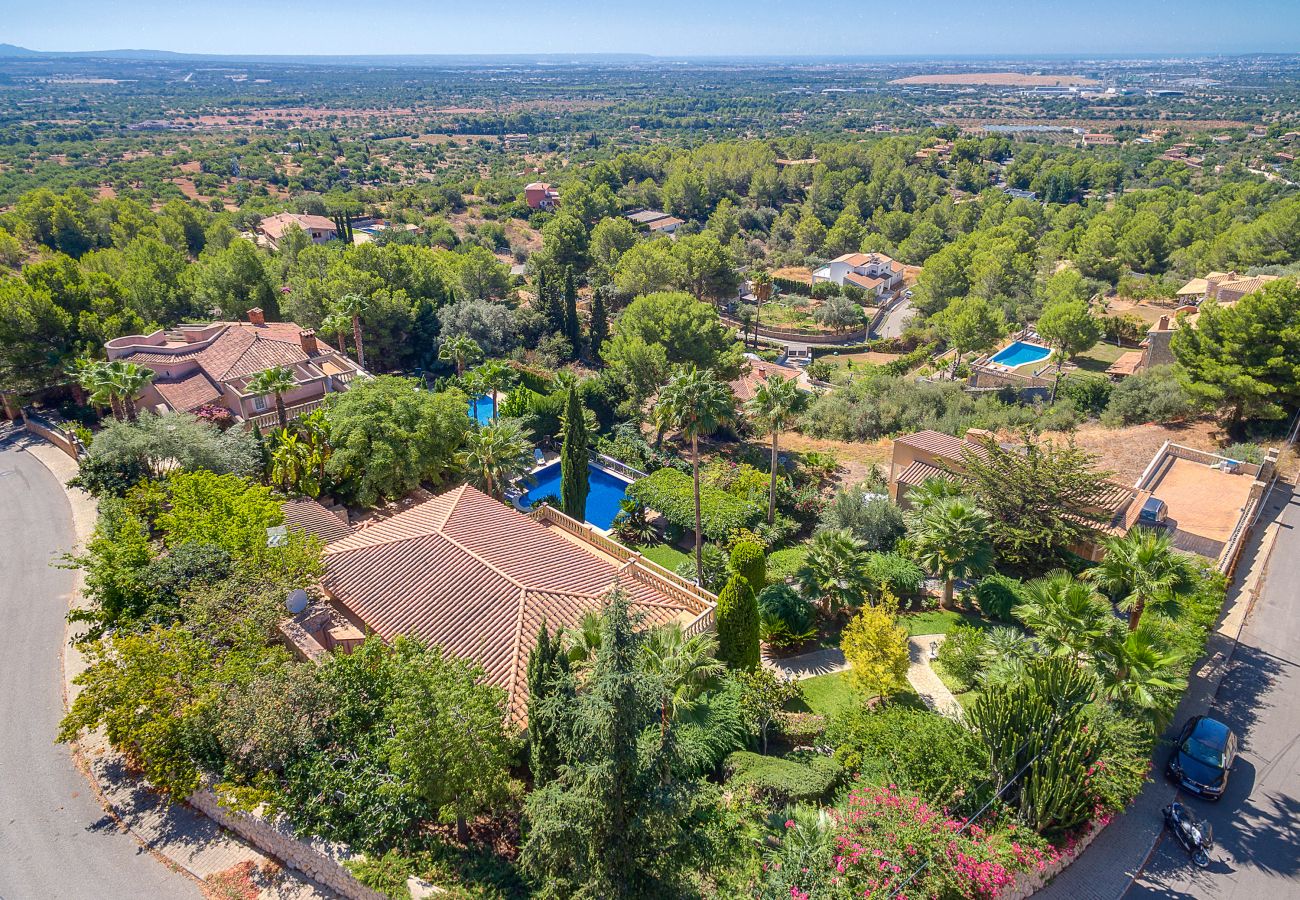 Aerial view of the villa.