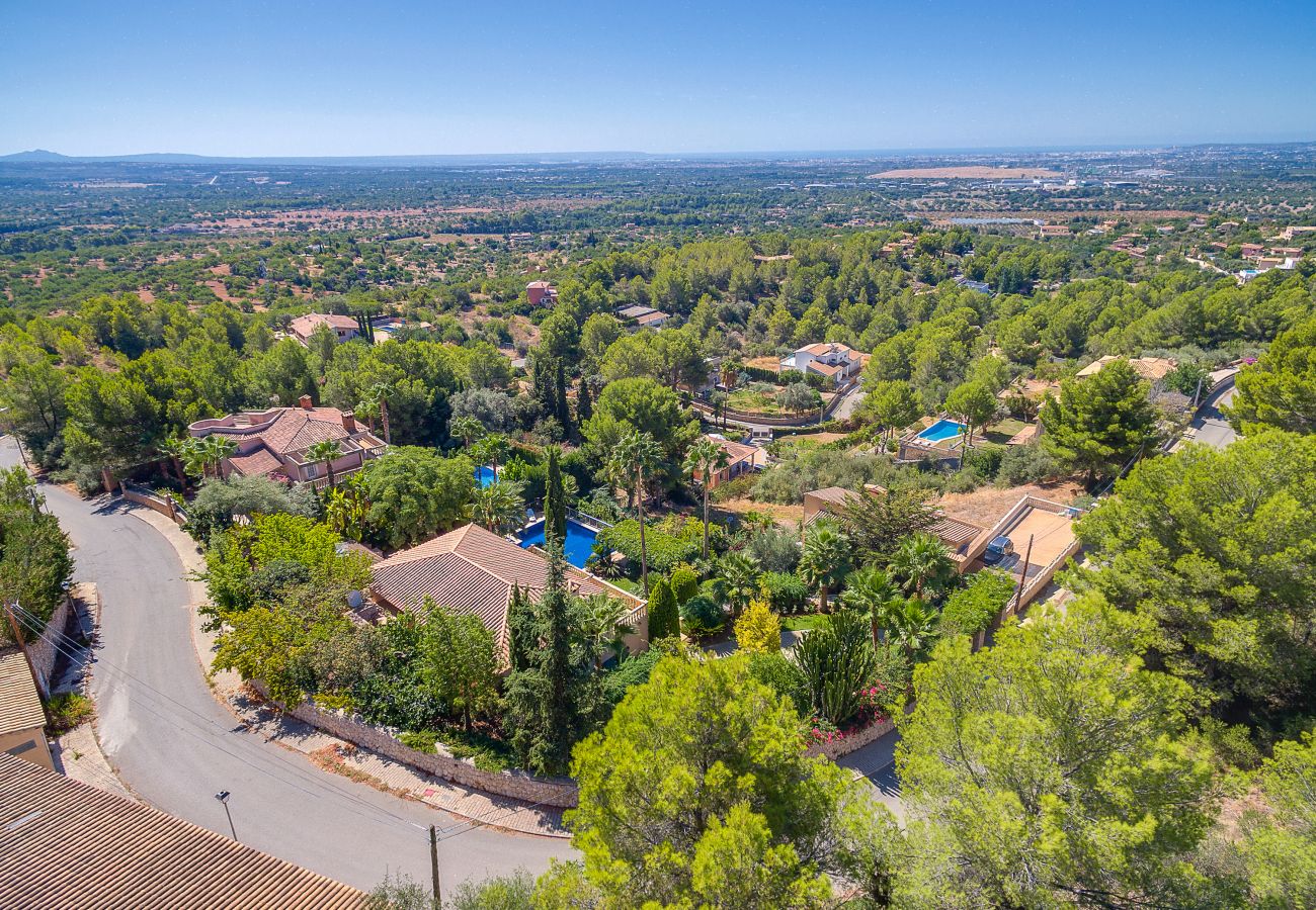 Aerial view of the villa.