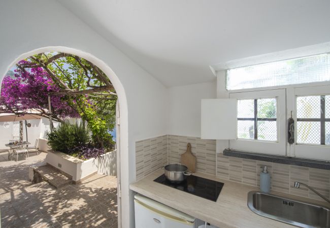 Villa in Praiano - Villa Albatros - Stunning 2 floors Villa for large groups! Villa in Praiano - Villa Albatros - Stunning 2 floors Villa for large groups!