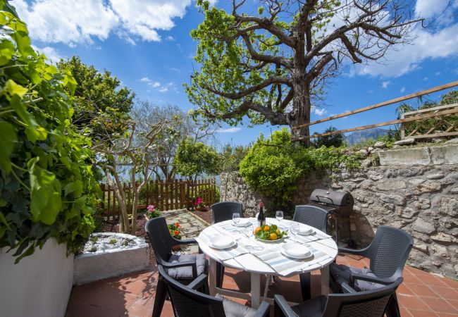 House in Praiano - Casa di Nonno Mario - Sea view terrace in the heart of Praiano