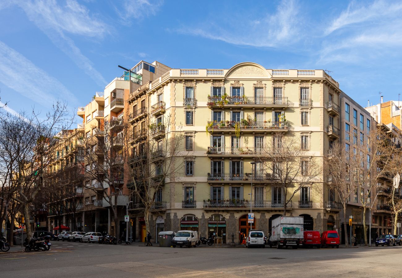 Apartment in Barcelona - MODERNIST FAMILY BARCELONA APARTMENT 