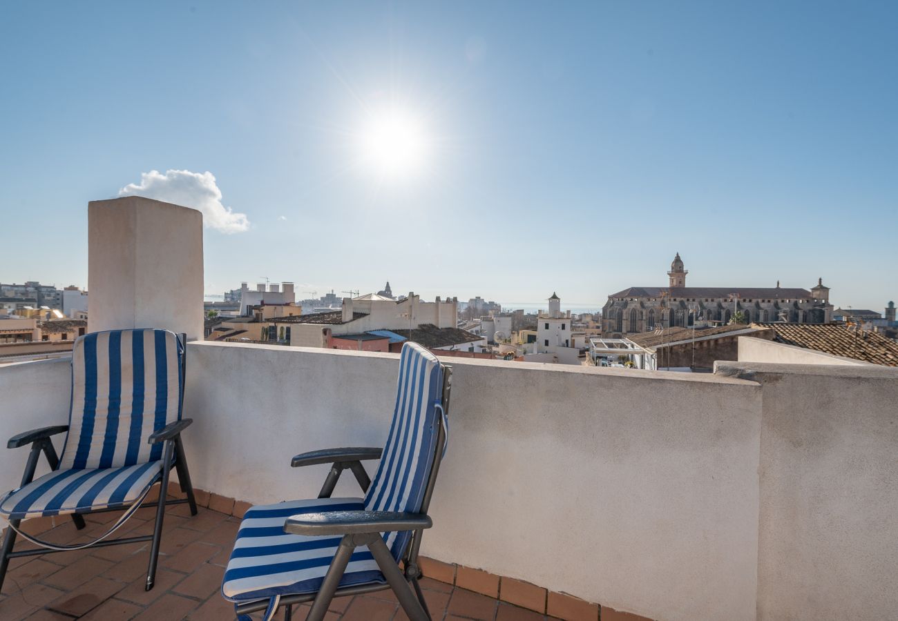 Apartment in Palma de Mallorca -  HOLIDAY PALMA TERRACE APARTMENT